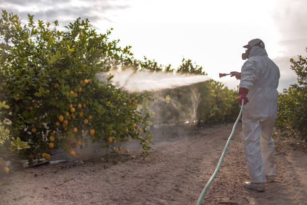 Seasonal Pest Control in Seagoville, TX